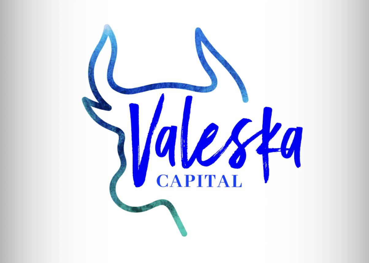 Valeska Capital, Payment Processing Redefined (2)