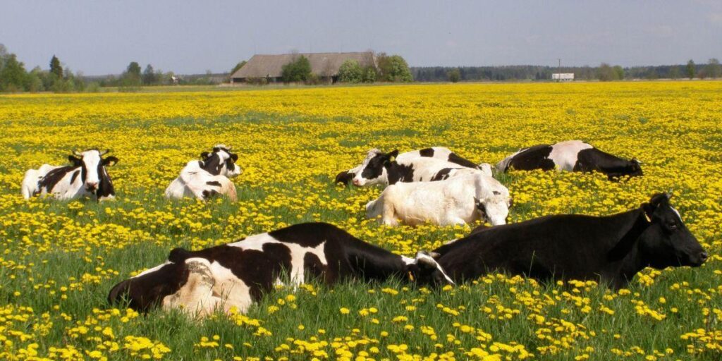 Martin Mander: A Leader Committed to Empowering Others