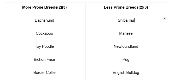 How To Choose A Dog Breed For Your Lifestyle: A Business Owner’s Guide