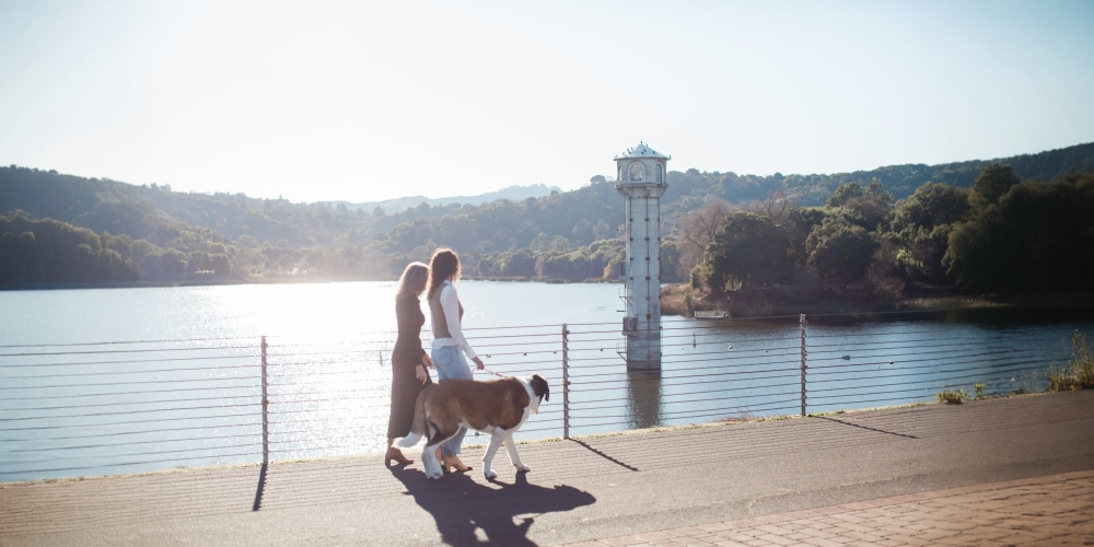 Stella and Stephanie: A Mother-Daughter Team Built on Trust and Two Generations of Experience