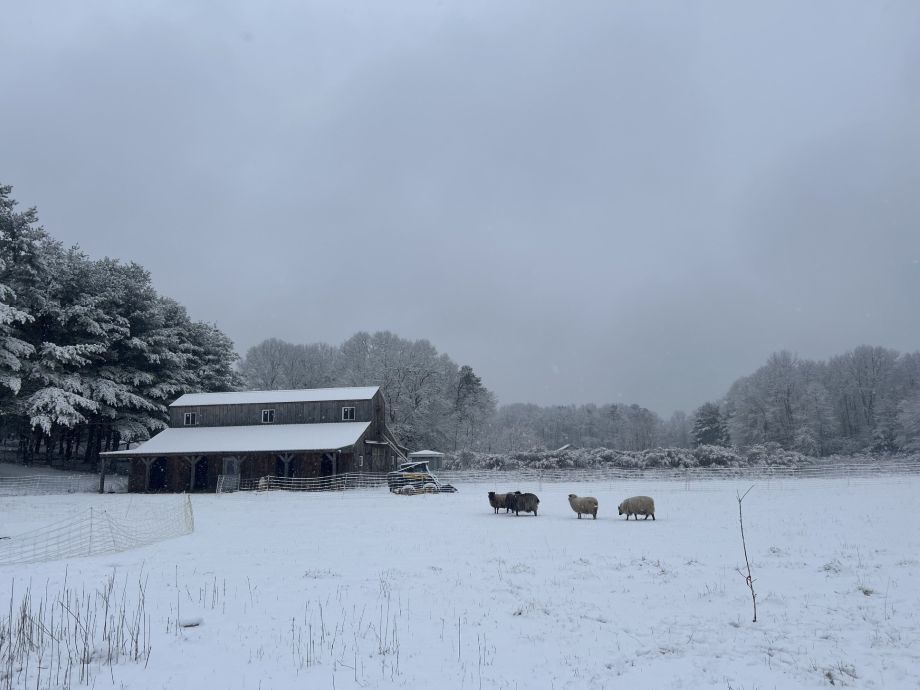 From Law to Systems Innovation: How Stanton Terranova Built a Life and Business Around Earned Independence