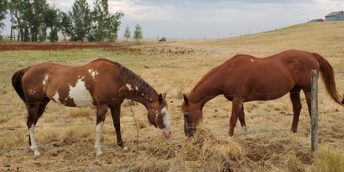 Creating Lasting Success: Insights from Bob Ward on Building a Purpose-Driven Business