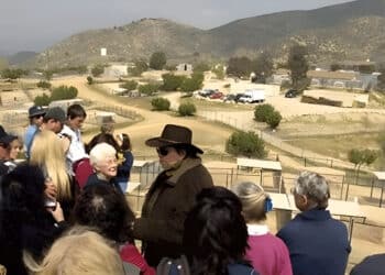 D.E.L.T.A. Rescue and The Poem That Touched Hearts: Leo Grillo's Mission of Compassion