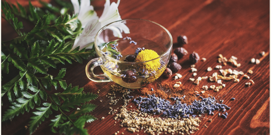 Can Wellness and Luxury Coexist? Unveiling the New Era of Holistic Health