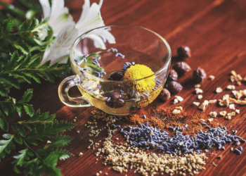 Can Wellness and Luxury Coexist? Unveiling the New Era of Holistic Health