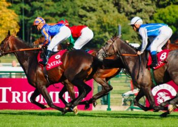 Mastering the Track: Tips And Techniques For Winning Races