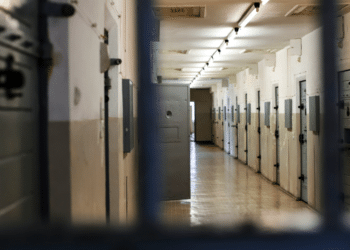 Life Inside a White Collar Prison: Stories and Survival