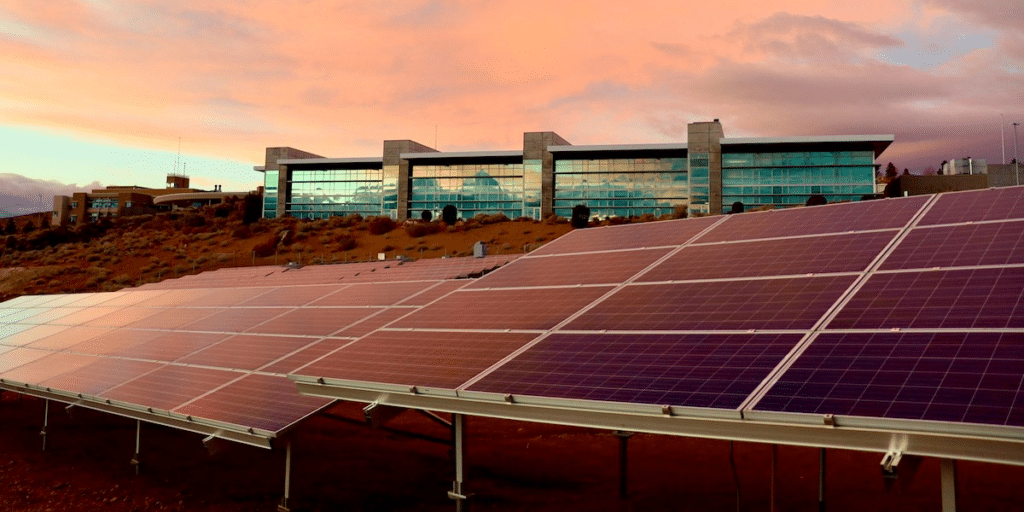 CarbonCred: Streamlining Corporate Sustainability Through Effortless Carbon Offsetting Solutions