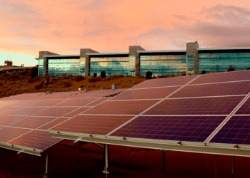 CarbonCred: Streamlining Corporate Sustainability Through Effortless Carbon Offsetting Solutions