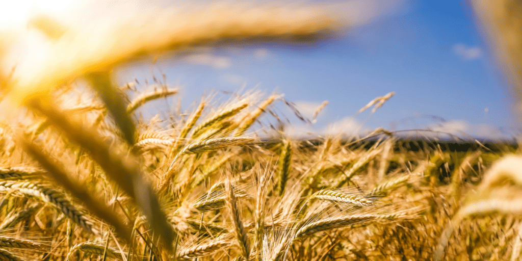 Bryan Winquist's Shaping the Future of Farming Communities