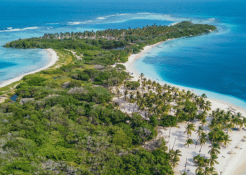 Navigating Business Success in Venezuela