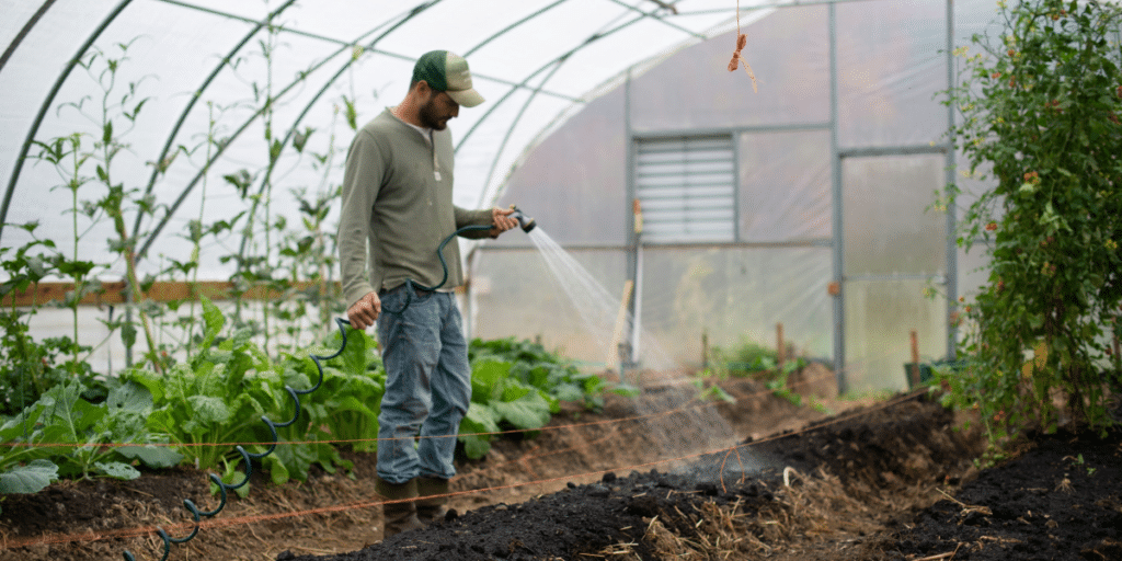 Tammy Sons: A Visionary in the World of Horticulture