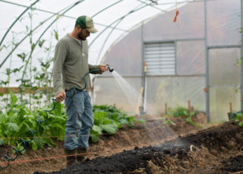 Tammy Sons: A Visionary in the World of Horticulture