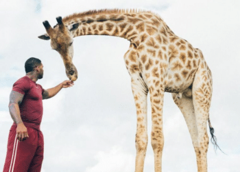 The Real Tarzann's Influence on Wildlife Conservation