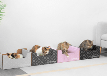 Design and Function Discovering Hide & Scratch