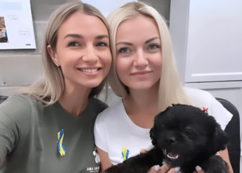 Guardians of Hope The Remarkable Journey of AMA Animal Rescue