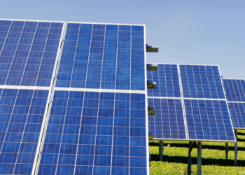 How Denton Peng Elevated SPI Energy: A Green Revolution