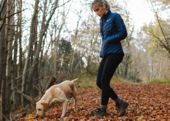 Canine Capers: How Much Playtime Does Your Dog Really Need?