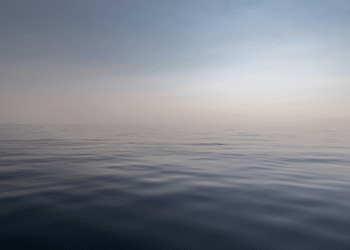 Navigating Stress: The Role of Forgiveness and Past Traumas