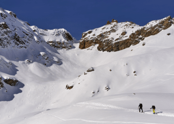 Success Against Odds Sanders and Dyson's Journeys