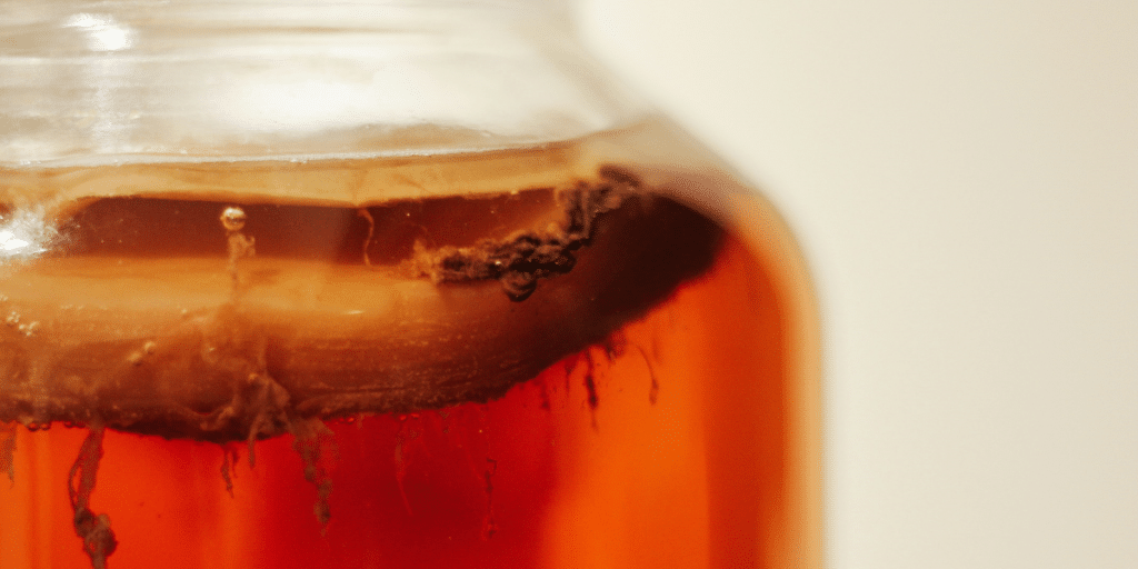 A Better Kombucha Industry With Kombucha Town