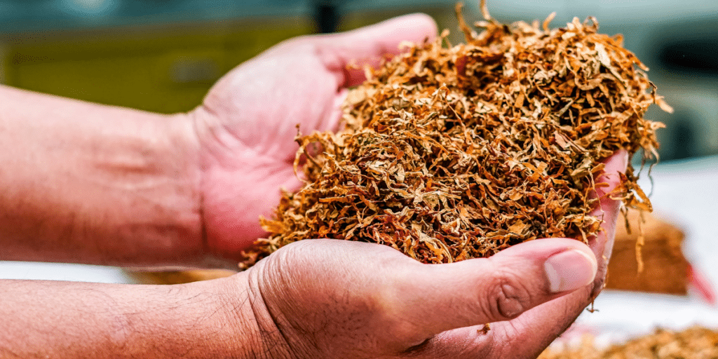 A Look at the Marketing Campaigns That Popularized Tobacco