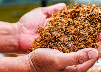 A Look at the Marketing Campaigns That Popularized Tobacco