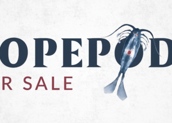 Ricky Scheufler: Teen Entrepreneur in Aquarium Industry