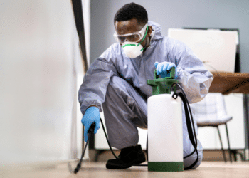 The Importance of Regular Professional Pest Control for Businesses