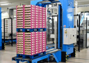 Affordable Automation Funding Your Palletizing Business