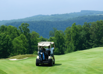 How to Make the Most of Your Visit on Harbor Island