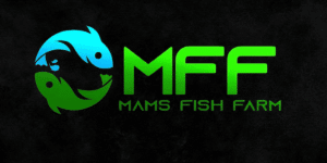 Isaac Okur Moses- Leading Mams Fish Farm & Agro-Allied