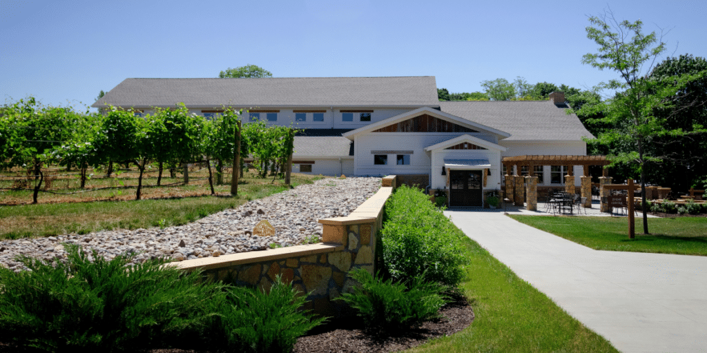What to Expect on a Temecula Wine Tour: Your Essential Guide