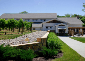 What to Expect on a Temecula Wine Tour: Your Essential Guide