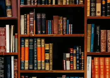 What to Look for When Choosing a Personal Injury Attorney