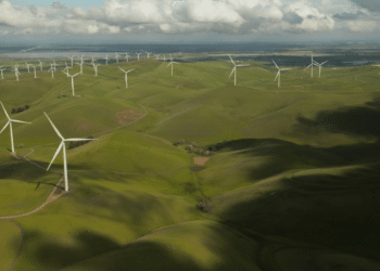 RGF Environmental Group Leads in the Air, Water, and Food Sanitation Sector with 100% US-Manufactured Products