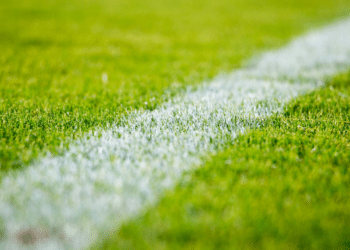 Robert E. Bear, Inventor of Bearball®, Seeks Partnerships and Funding to Bring the Team Sport to a Wider Audience