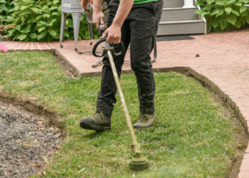 5 Tips to Upgrade Your Mower Fleet at a Lawn Company