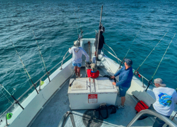5 Ways a Fishing Trip Can Help With Employee Teamwork