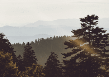 6 Things to Consider When Planning Your Smoky Mountains Adventure