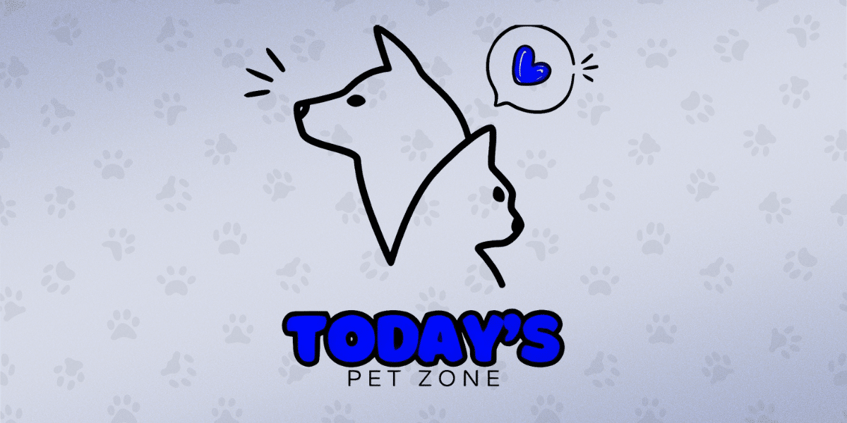 Affordable and Fun Pet Supplies from Today’s Pet Zone A Brand That Puts Pets First_1