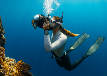 Exploring Oracle 24D: A Deep Dive into Release Notes