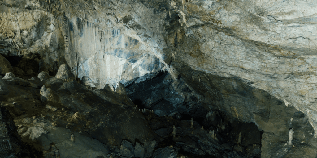 Glow Worm Caves Shine as 'Best of Queensland' 2022 Winner