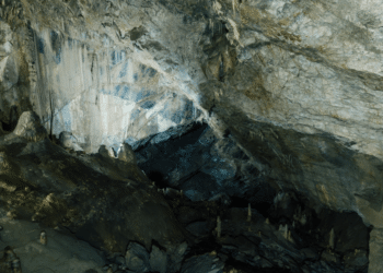 Glow Worm Caves Shine as 'Best of Queensland' 2022 Winner