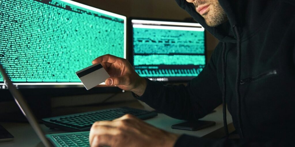 Ideal Strategies for Preventing Identity Theft in Digital Government Interactions