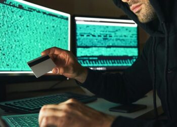 Ideal Strategies for Preventing Identity Theft in Digital Government Interactions