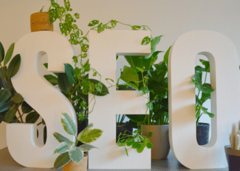 Tailored SEO Strategies by Sean Raynon for Long-Term Success