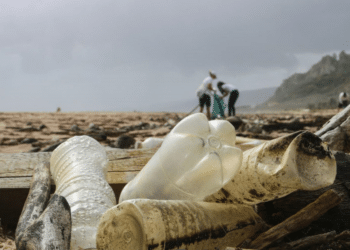 Global Push for Plastic Pollution Treaty Begins in Colombia