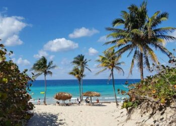 Crystal Evans: A Visionary Entrepreneur and Author Transforming the Caribbean