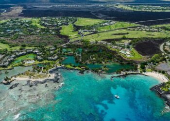 Harold X. Clarke’s Leadership in Hawaiian Real Estate